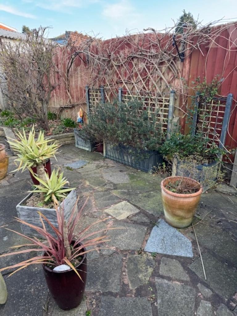 61 Asquith Road Garden