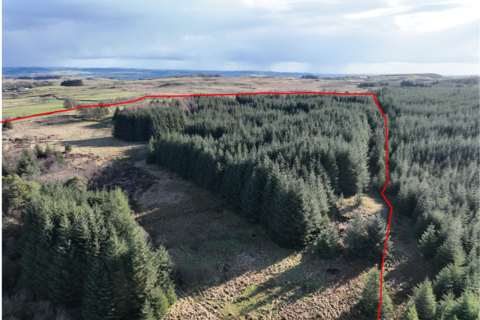 Woodland for sale, Lochwinnoch PA10