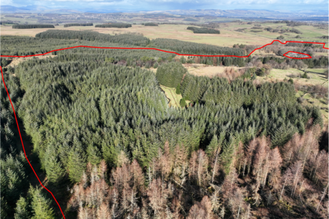 Woodland for sale, Lochwinnoch PA10